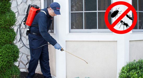 Yurdoğlu Dezenfeksiyon böcek ilaçlama ve haşere kontrolü — ilaclama-tr.com